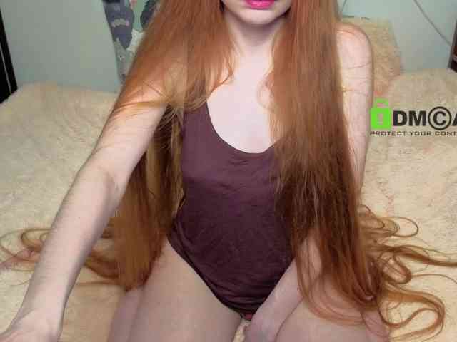 LonelyCat webcam