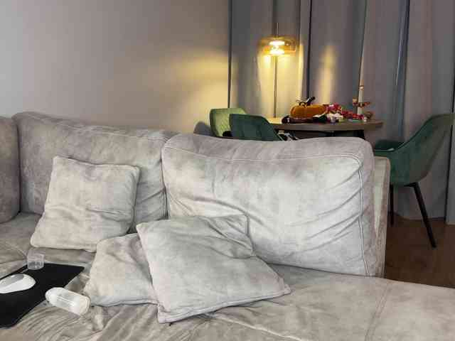 Coverme webcam