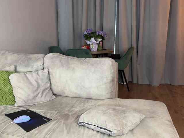 Coverme webcam