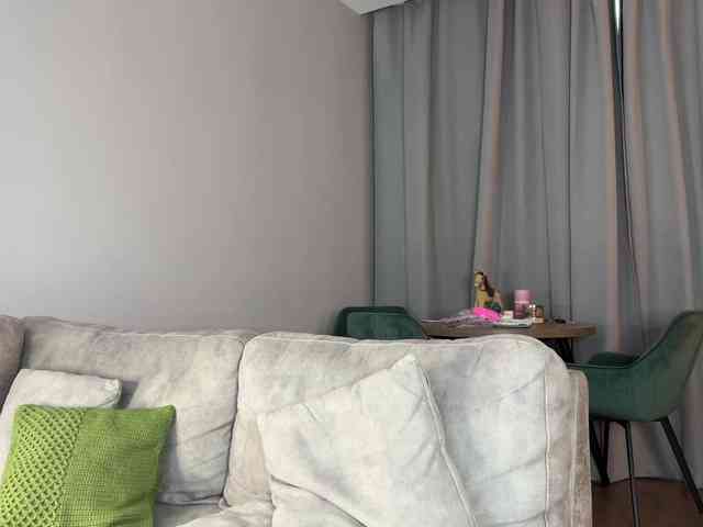 Coverme webcam