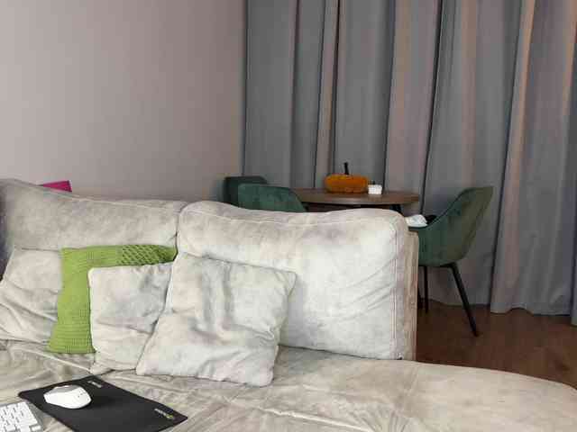 Coverme webcam