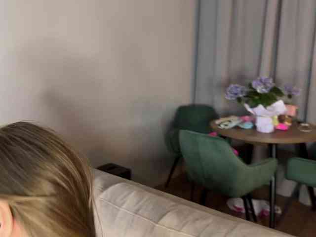 Coverme webcam