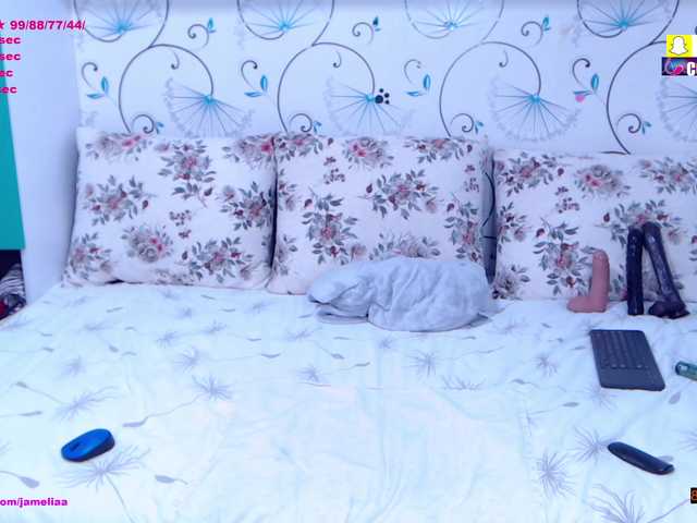 SpicyBrunnete live cam on BongaCams