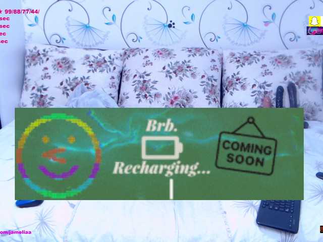 SpicyBrunnete live cam on BongaCams
