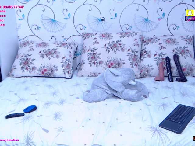 SpicyBrunnete live cam on BongaCams