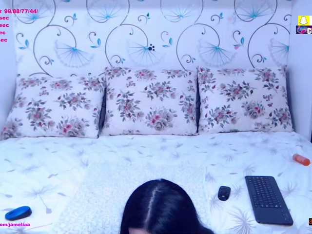 SpicyBrunnete live cam on BongaCams