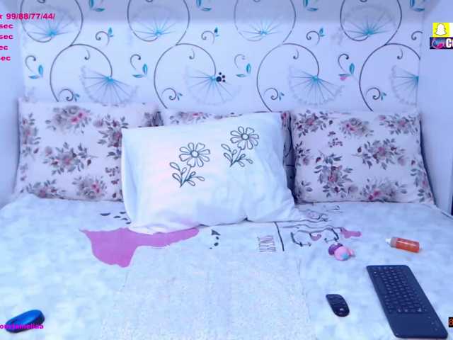 SpicyBrunnete live cam on BongaCams