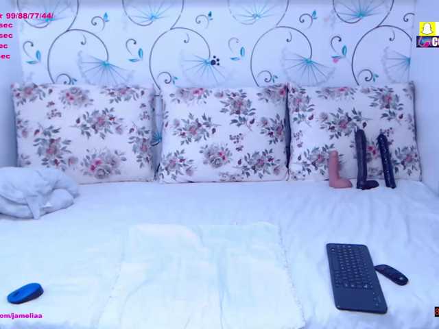 SpicyBrunnete, live now on BongaCams