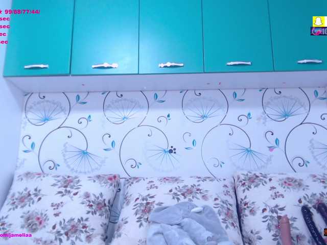 SpicyBrunnete live cam on BongaCams