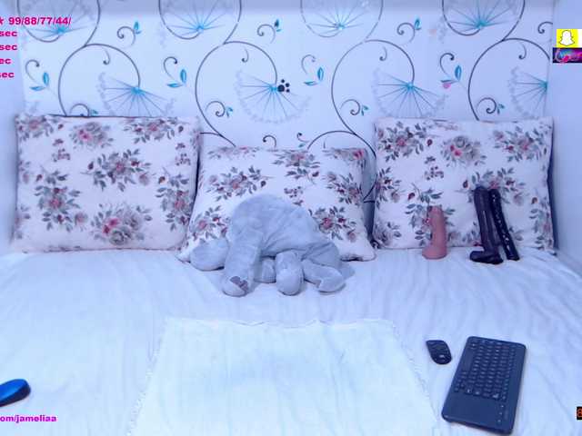 SpicyBrunnete live cam on BongaCams