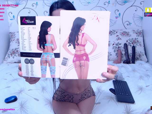SpicyBrunnete live cam on BongaCams