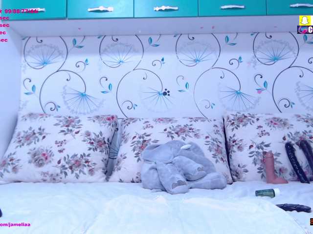 SpicyBrunnete live cam on BongaCams