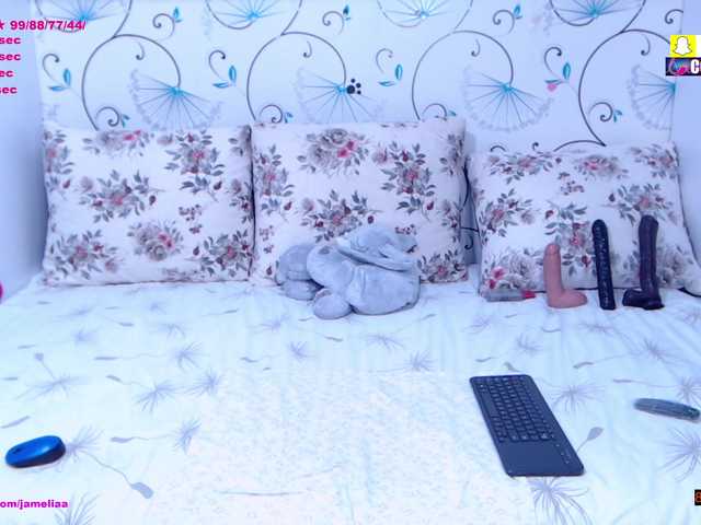 SpicyBrunnete live cam on BongaCams