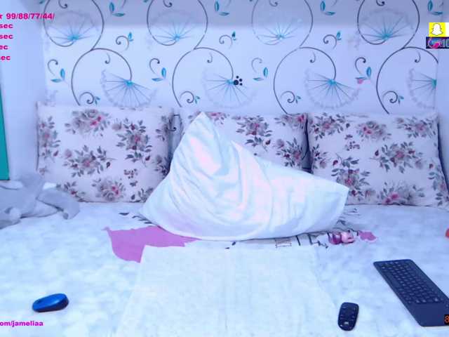 SpicyBrunnete live cam on BongaCams