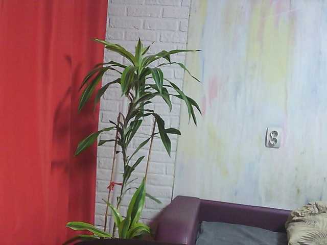 YesBabyYes live cam on BongaCams