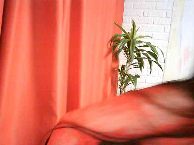 WitchWorld webcam