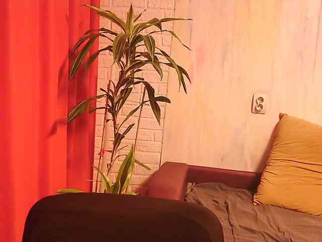 WitchWorld webcam