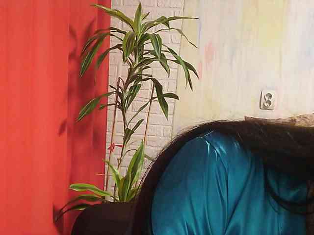 WitchWorld webcam