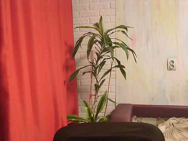 WitchWorld webcam