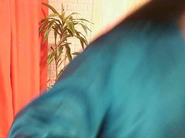 WitchWorld webcam
