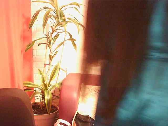 WitchWorld webcam