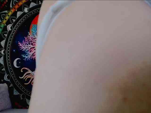 Indicawild1 webcam