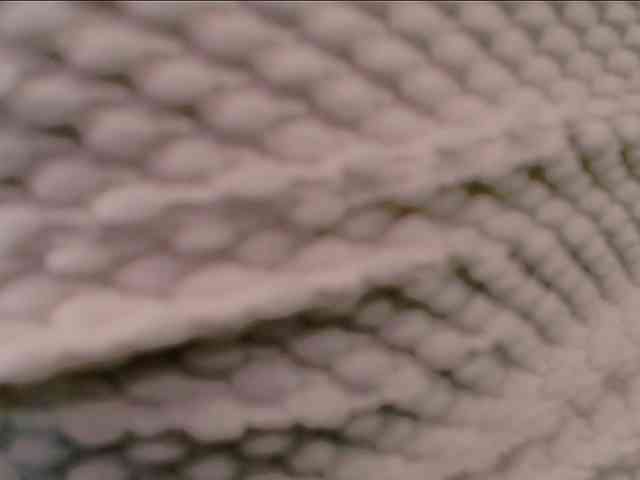 Indicawild1 webcam
