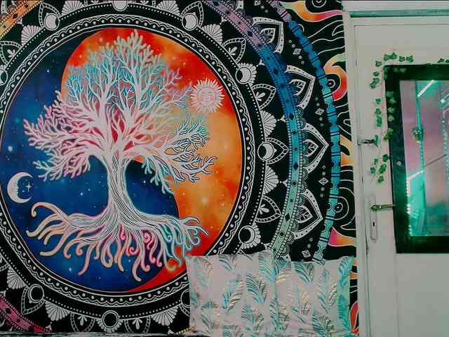 Indicawild1 webcam