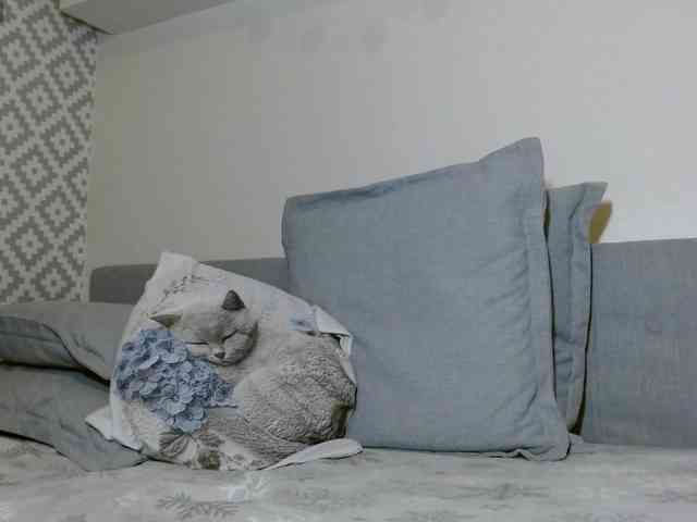 albinochka888 webcam