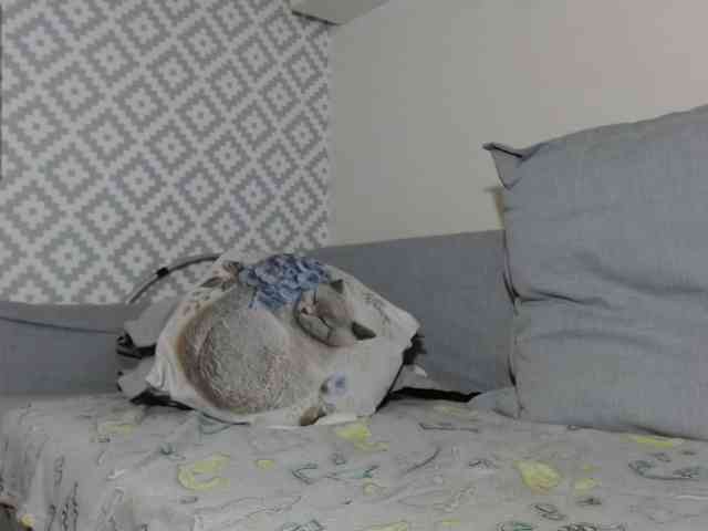 albinochka888 webcam