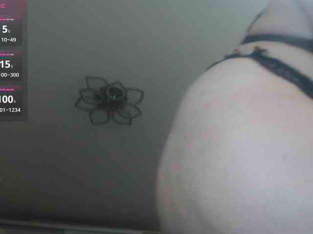 Spinners webcam