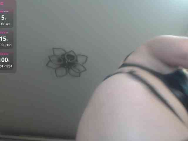 Spinners webcam