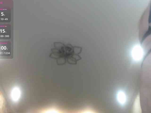 Spinners webcam