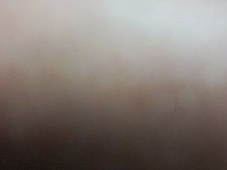 CoinCell Porn Show