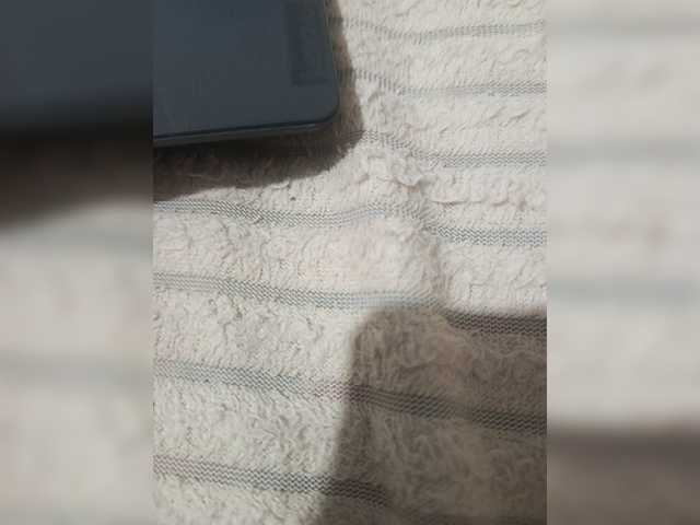 CoinCell live webcam show