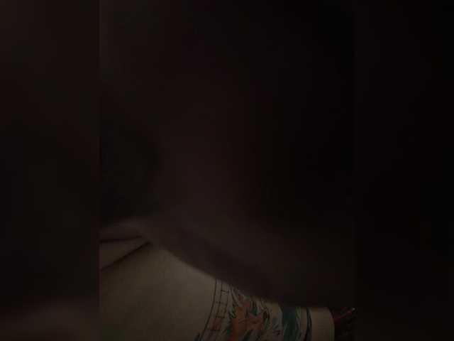 StreamCam