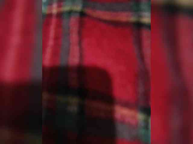 StreamCam