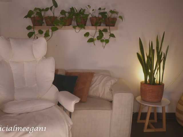 Meegan