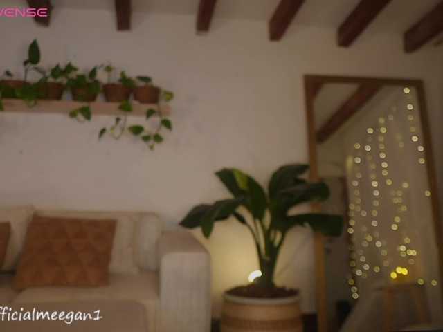 Meegan