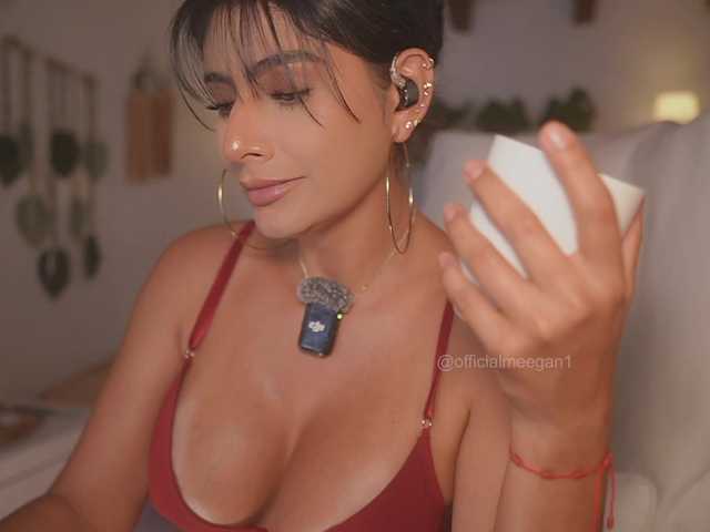 meegan online