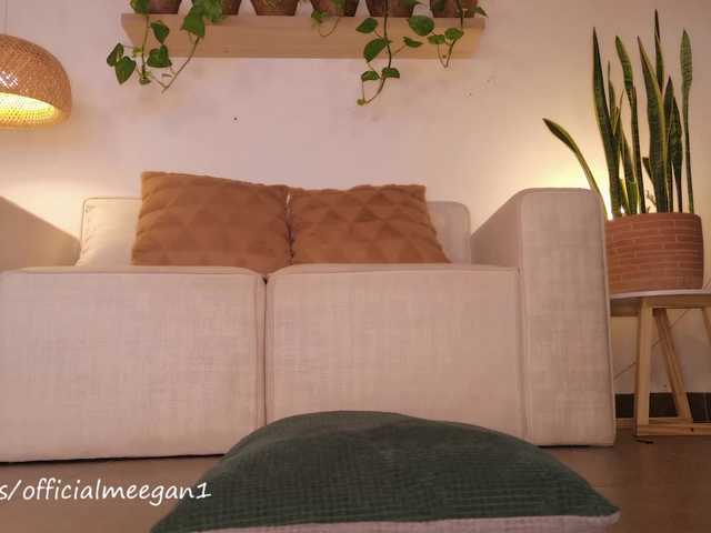Meegan