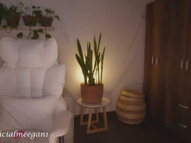 Meegan