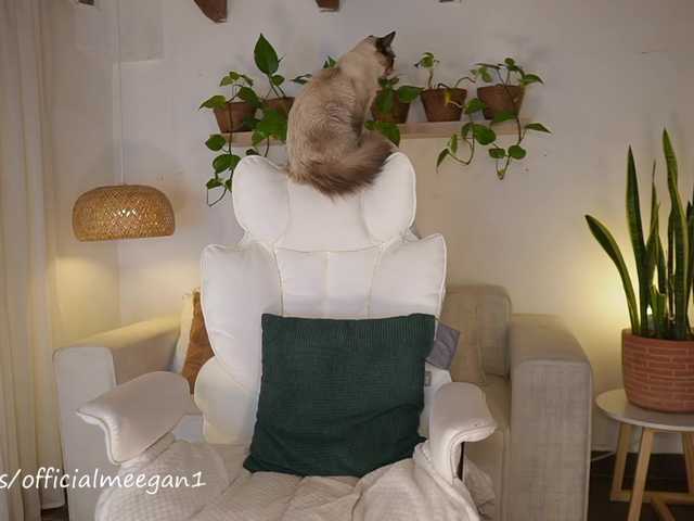 Meegan live cam on BongaCams