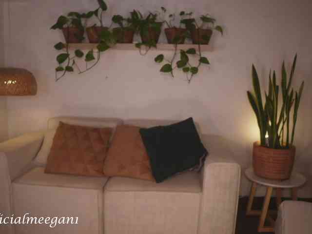 Meegan