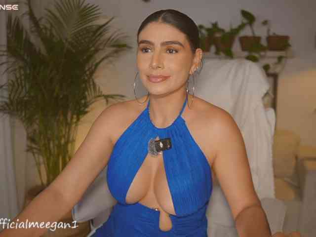 Modelo: Meegan