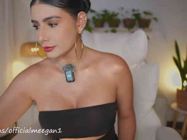 Meegan webcam