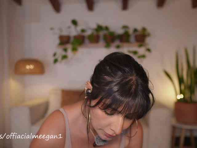 Modelo: Meegan