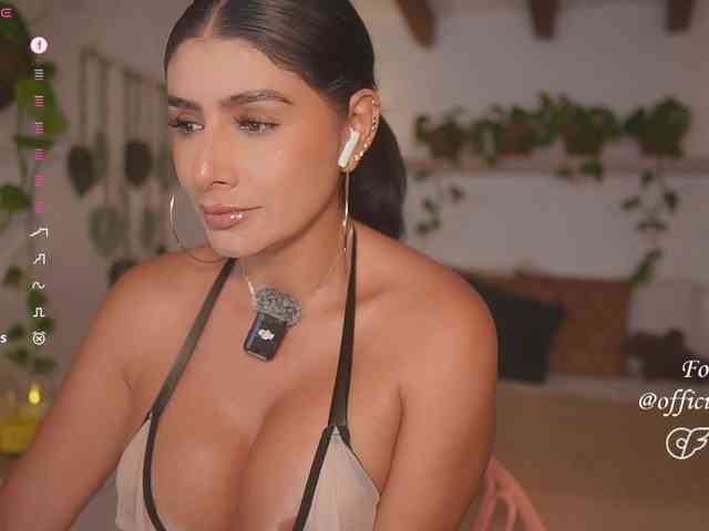 Modelo: Meegan