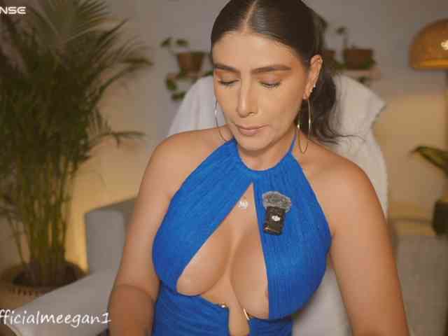 Modelo: Meegan