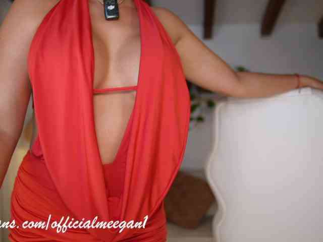 Modelo: Meegan